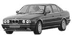 BMW E34 B254C Fault Code